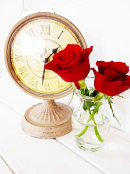 8fd5d55732fcd8ccf6e7ad22479157f2_s