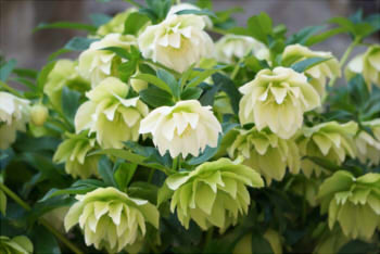 99c20f7e5b1317be4d1ec3d00924222a_s