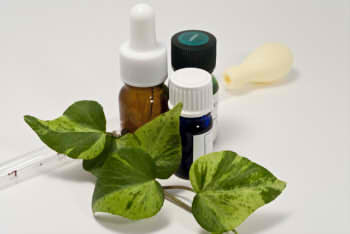 ecf2c4b78217c0c07fdde3b416cb5caf_s