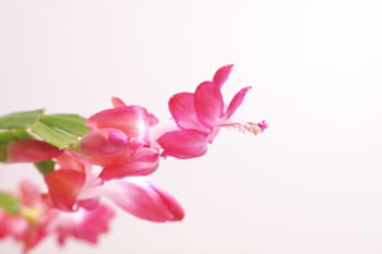 f6987016c257f57f4f22d49708da2015_s