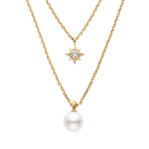 %e3%82%b7%e3%83%a3%e3%82%a4%e3%83%8b%e3%83%b3%e3%82%b0%e3%83%91%e3%83%bc%e3%83%ab-%e3%83%8d%e3%83%83%e3%82%af%e3%83%ac%e3%82%b92