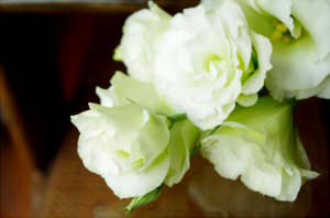 2fb66ebd2abcf73b74b929cfa8d5f21c_s22