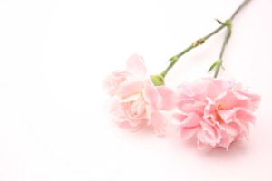 52839c1906fe0d85cbb70f9e90168475_s2