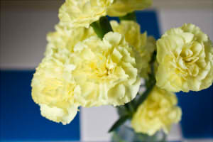 640ed3fb6cdaba34f4978c2ceedee412_s22