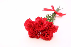 7e00bc4f4648a99f715ccbc1c917ecde_s222