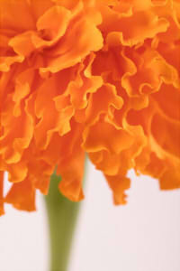 b5f435ac9616e328b5f6903789a66524_s2