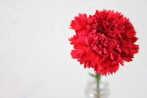 d539ea16d31437f8b5a06a9033ae53af_s2