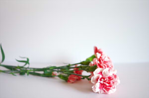 dc299e22ae8917bffc55c6d740286ecf_s22