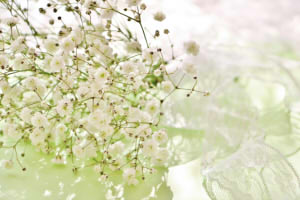 95a9e46a547af090598593943b1e19fc_s222