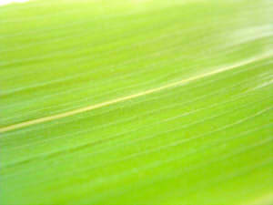 9f765d31b1fd602103913934521e8578_s222