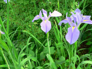 e902724a1ef32c94888a816158d9d7f9_s22