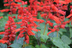 0ff452cd8b7d72fd87e0016ff8688aae_s22222