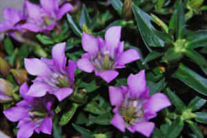 93cfb63247f48ee0f4e3258f50a4c53c_s2222